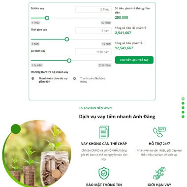 theme wordpress dich vu vay von tai chinh online