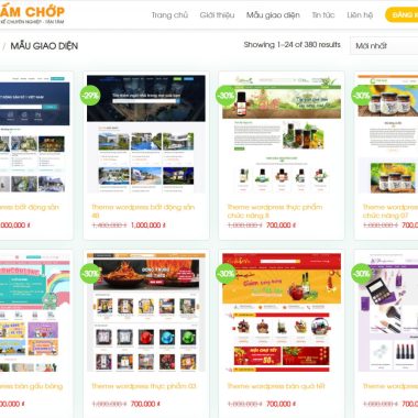 theme wordpress thiet ke website1