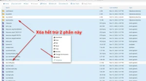 cập nhật wordpress thủ công